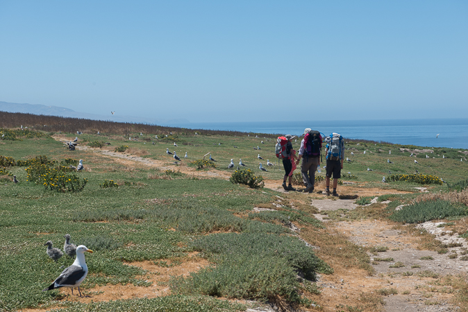 Channel Islands National Park in California