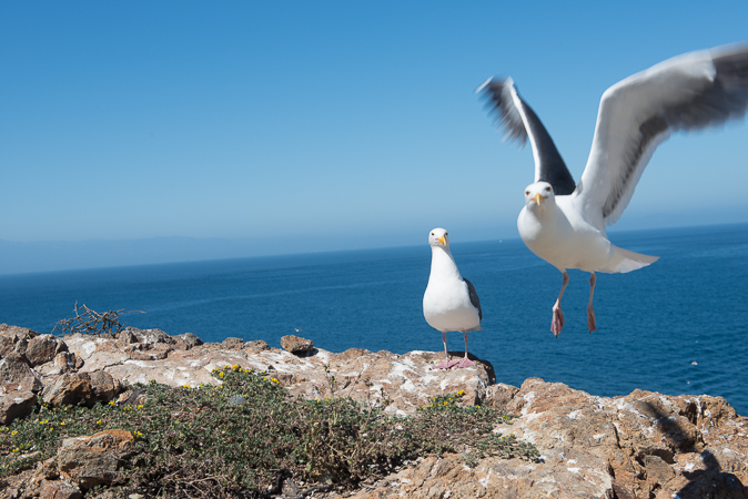 Channel Islands National Park in California